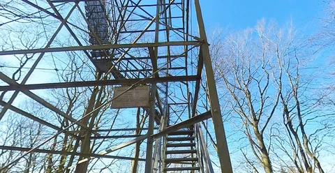 Aussichtsturm Kaiserberg, Albersdorf Metalltreppe des Aussichtsturms im Wald