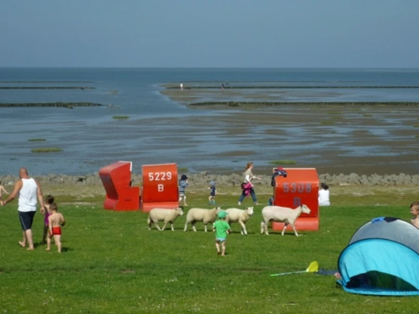 Badestelle Westerkoog