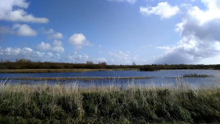Speicherkoog