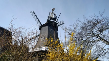 Südermühle Meldorf