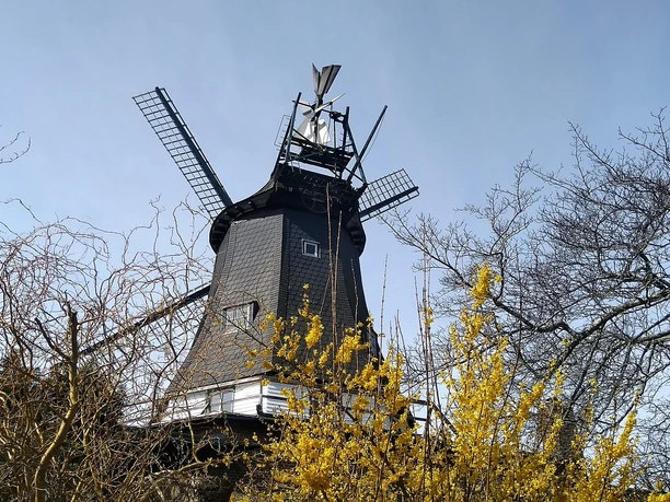 Südermühle Meldorf