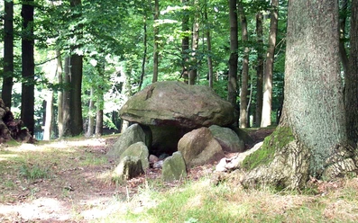 Großsteingrab Papenbusch
