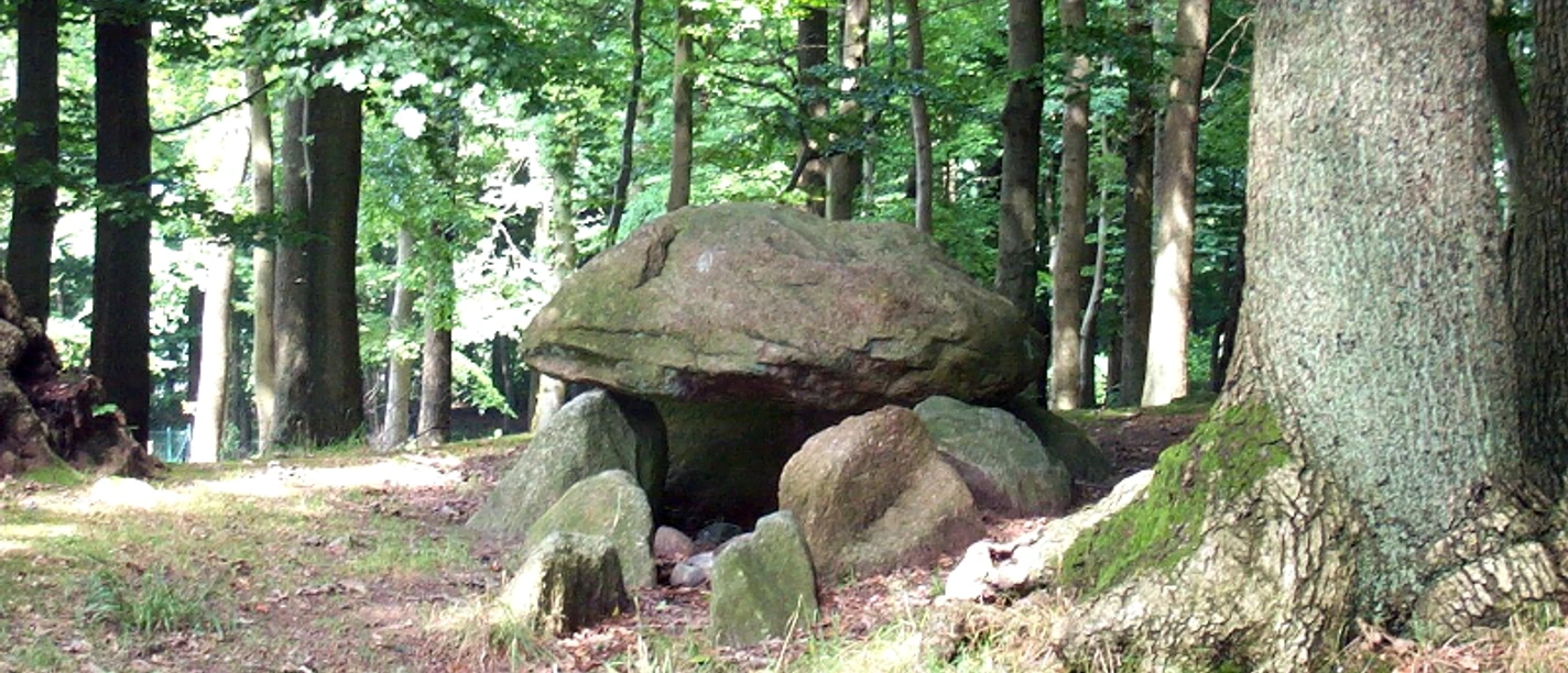 Großsteingrab Papenbusch
