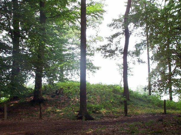 Grabhügel Dreebargen