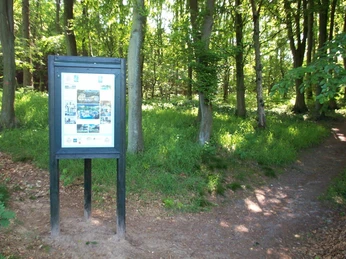 Ochsenweg bei Albersdorf