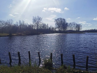 Süderholmer Moor