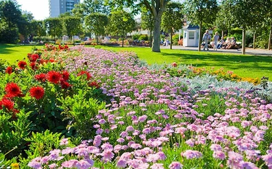 Kurpark-Blumen_03.jpg
