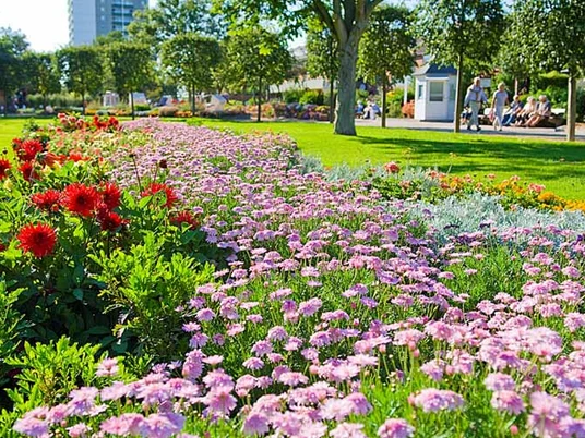 Kurpark-Blumen_03.jpg