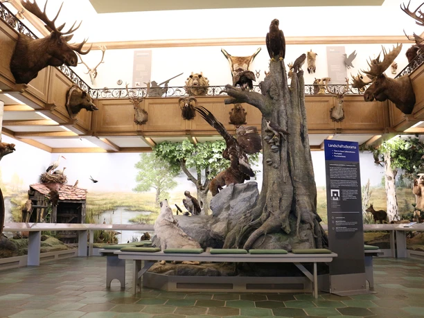 Eingangshalle Jagdmuseum Wulff Landschaftsdiorama in der Eingangshalle des Jagdmuseum Wulff in Oerrel
