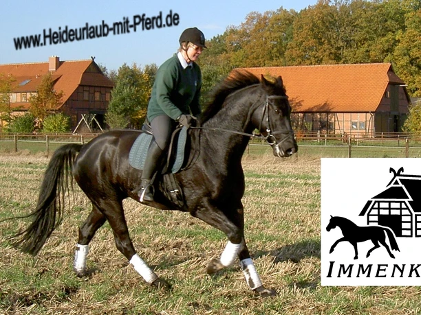 Reiter auf dem Hof Immenknick Reiter auf dem Hof Immenknick in der Südheide Gifhorn