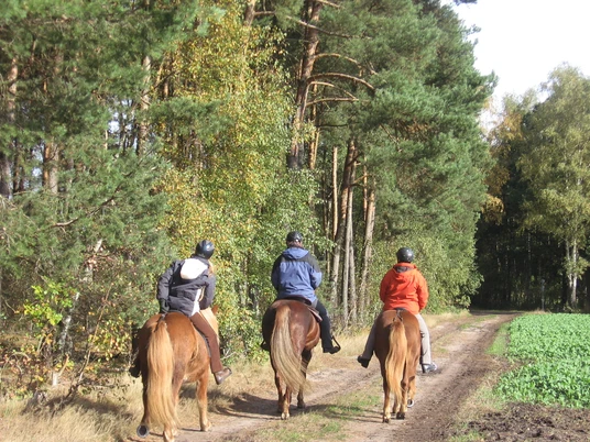Reiter im Wald Drei Reiter beim einem Ausritt in der Südheide Gifhorn
