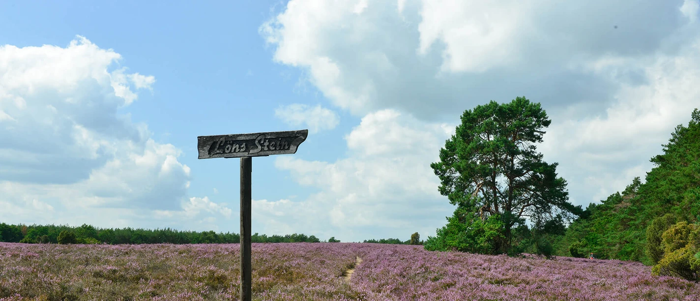 Hinweis auf den Löns-Stein Hinweis auf den Löns-Stein in der Heidefläche