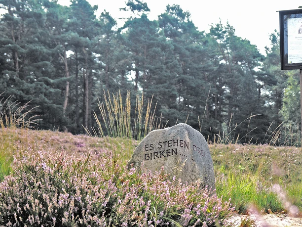 Stein und Hinweis auf Hermann Löns in der Gifhorner Heide Stein und Hinweis auf Hermann Löns in der Gifhorner Heide
