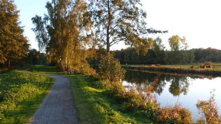 Hagenburger Kanal A quiet path leads along the Hagenburg Canal with trees and a peaceful water surface.