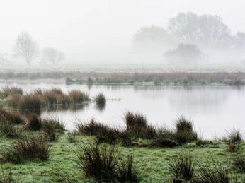 Meerbruch Nebelverhangene Seenlandschaft mit Gras und Bäumen. Sanft spiegelndes Wasser in ruhiger Atmosphäre.Misty lake landscape with grass and trees. Gently reflecting water in a calm atmosphere.Tåget sølandskab med græs og træer. Blidt reflekterende vand i en rolig atmosfære.Mistig meerlandschap met gras en bomen. Zacht weerkaatsend water in een kalme sfeer.