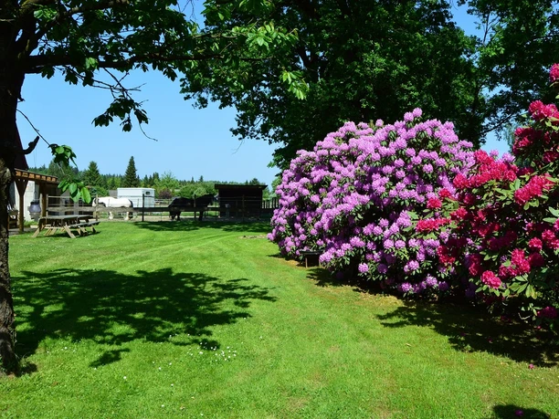Gastpferdeoffenstall Dennhornshof Gastpferdeoffenstall auf Dennhornshof in der Südheide Gifhorn