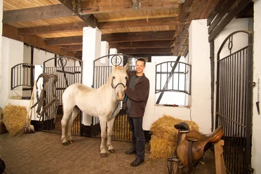 Landhaus Räderloh - Pferdebox Pferdeboxen im Landhaus Räderloh