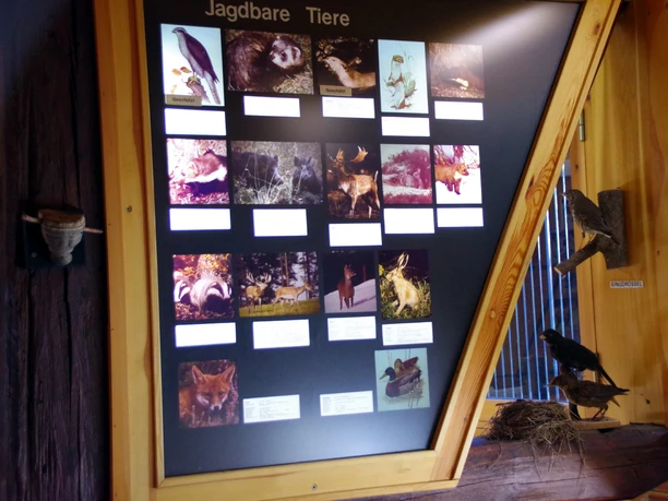 Wildtierarten im Haus der Landschaft Wildtierarten im Haus der Landschaft in Knesebeck