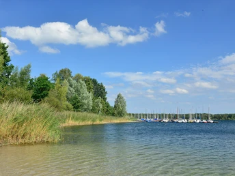 Blick auf die Segelboote am Tankumsee Blick auf die Segelboote am Tankumsee in der Südheide Gifhorn