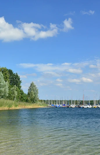 Blick auf die Segelboote am Tankumsee Blick auf die Segelboote am Tankumsee in der Südheide GifhornView of the sailing boats on the Tankumsee in the Südheide GifhornUdsigt over sejlbådene på Tankumsee i Südheide GifhornUitzicht op de zeilboten op de Tankumsee in de Südheide Gifhorn