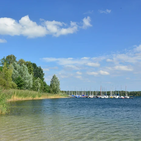 Blick auf die Segelboote am Tankumsee Blick auf die Segelboote am Tankumsee in der Südheide Gifhorn