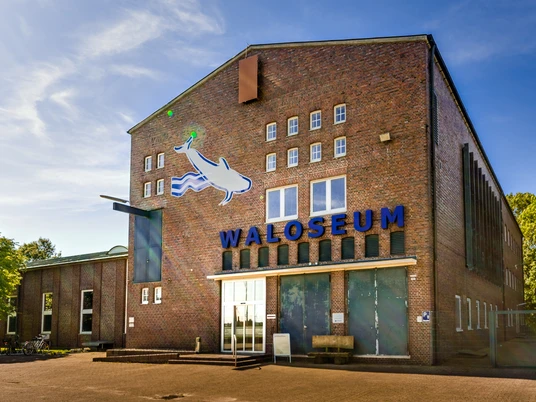 waloseum-14
