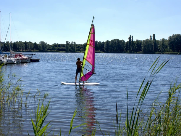 Campingplatz Tankumsee - Windsurfen Windsurfer auf dem Tankumsee bei Isenbüttel