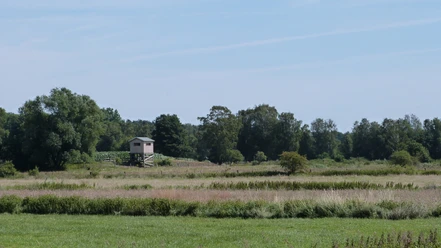 Grüner Aussichtsturm mit Holzhütte auf freier Wiese, umgeben von Bäumen vor blauem Himmel.
