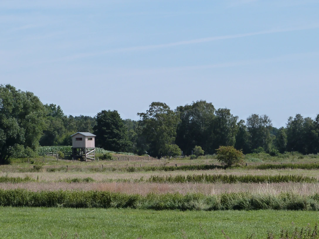 Grüner Aussichtsturm mit Holzhütte auf freier Wiese, umgeben von Bäumen vor blauem Himmel.