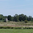 Grüner Aussichtsturm mit Holzhütte auf freier Wiese, umgeben von Bäumen vor blauem Himmel.