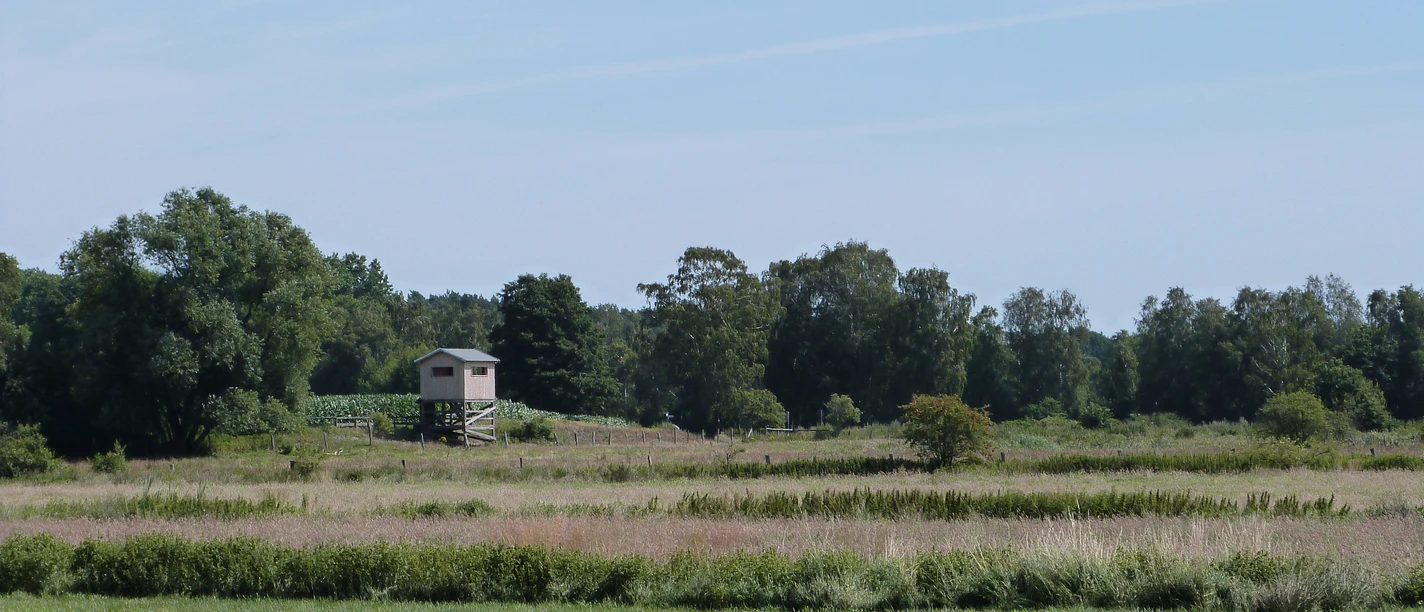 Grüner Aussichtsturm mit Holzhütte auf freier Wiese, umgeben von Bäumen vor blauem Himmel.