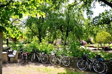 fahrradgruppe-spieker-sommer