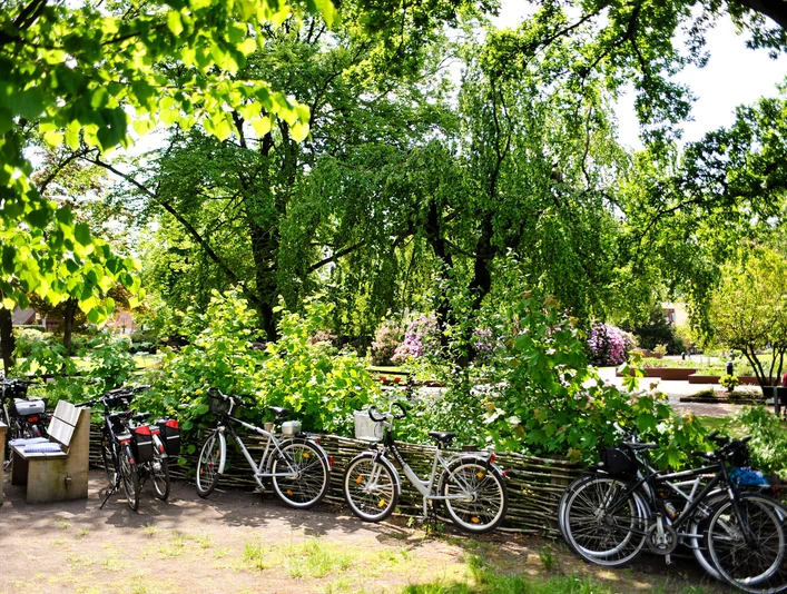 fahrradgruppe-spieker-sommer