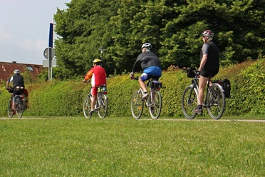 oeffentliche-radgruppen-in-bad-zwischenahn Radfahrer in bunter Freizeitkleidung fahren gemeinsam auf einem grünen Weg neben Bäumen.
