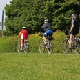 oeffentliche-radgruppen-in-bad-zwischenahn Radfahrer in bunter Freizeitkleidung fahren gemeinsam auf einem grünen Weg neben Bäumen.