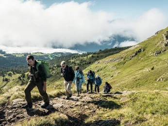 niederhorn-wildbeobachtungen-herbst-gruppe-wandern