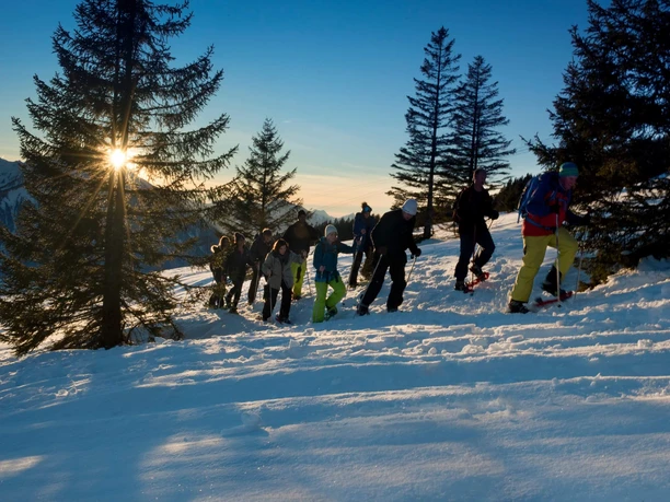 niederhorn-schneeschuhlaufen-winter-abendstimmung-tour-sonnenuntergang