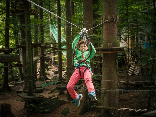interlaken-seilpark-junge-sommer-zipline-wald-familienaktivitaeten
