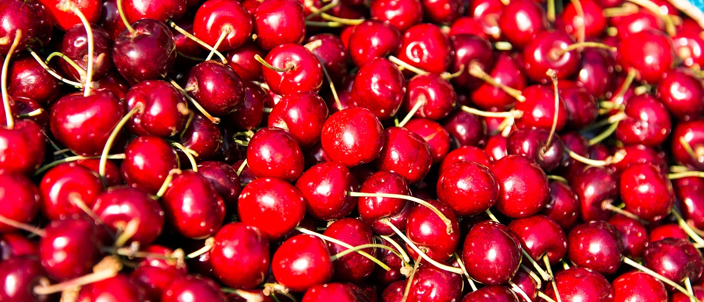 kulinarik_kirschen_schinkendiele_bad-zwischenahn