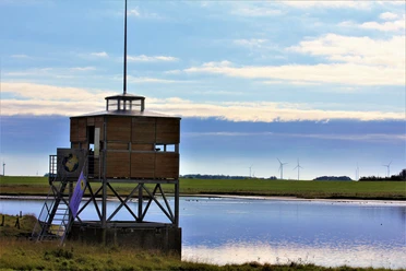 Vogelkiek Neßmersiel