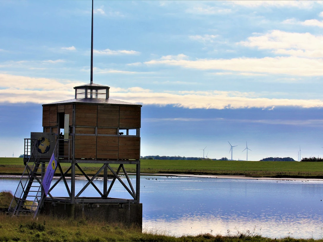 Vogelkiek Neßmersiel