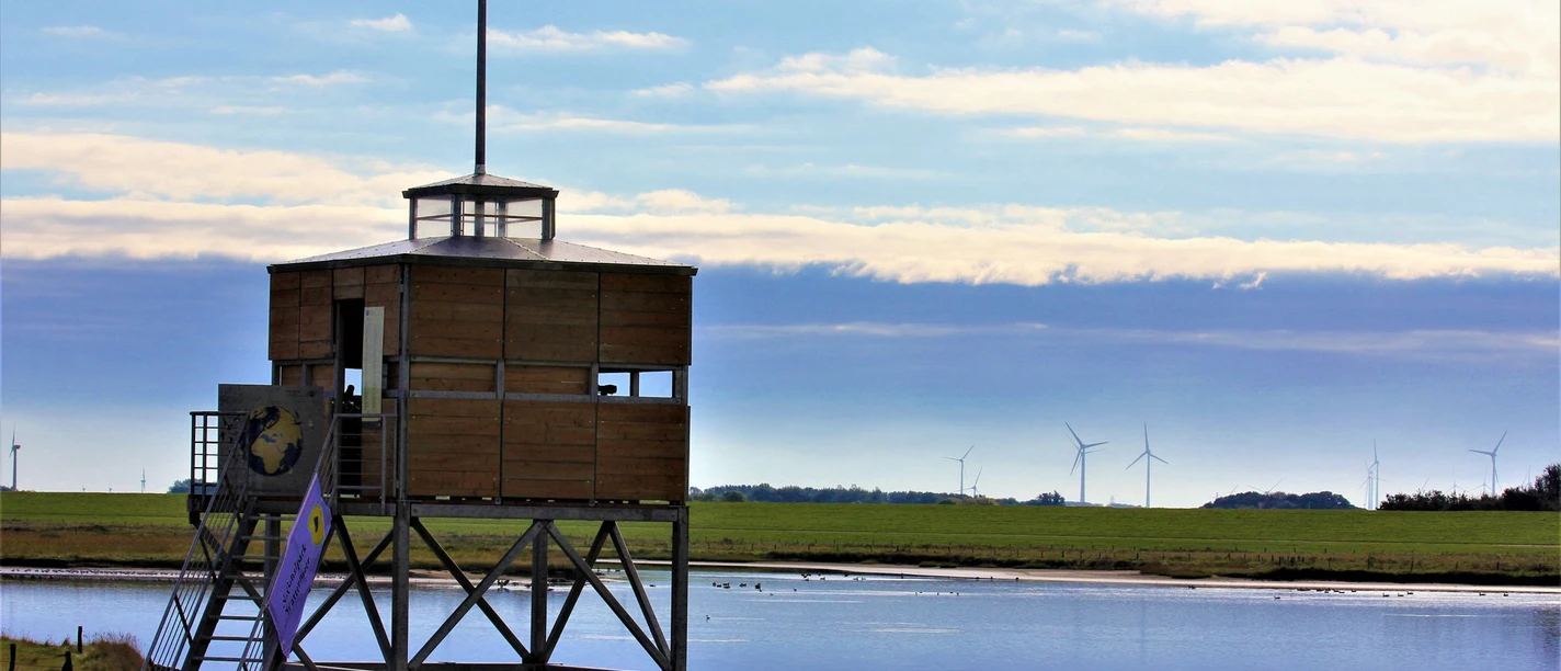 Vogelkiek Neßmersiel