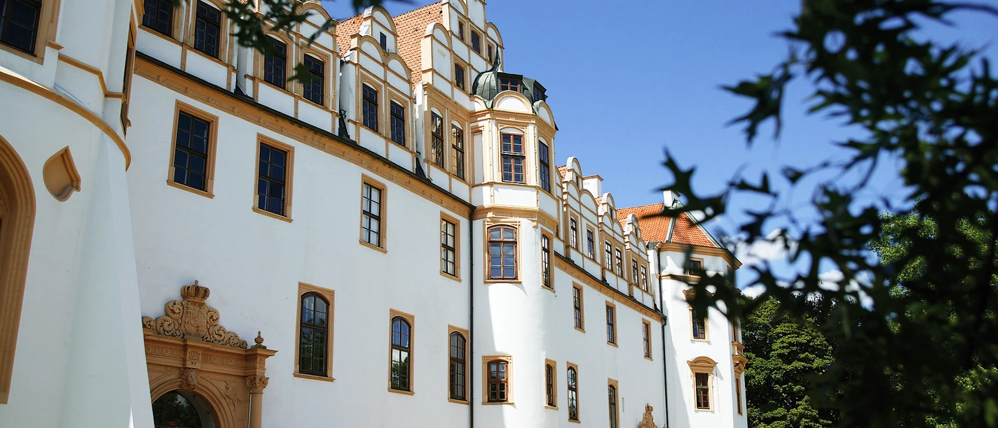 Celler Schloss, Fassade Celler Schloss, Fassade