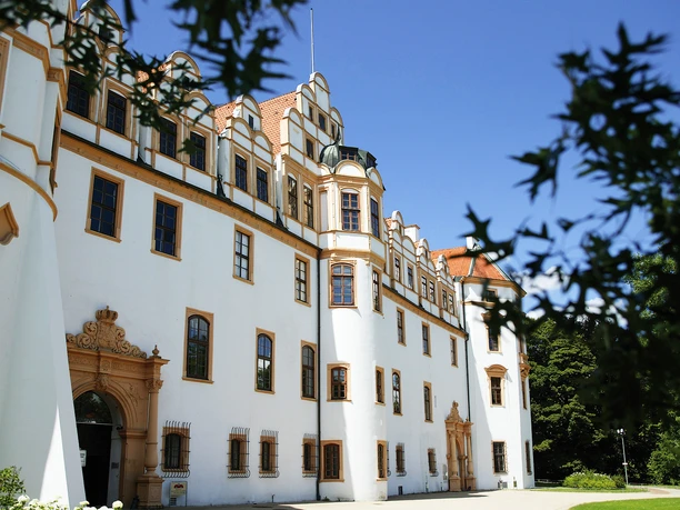 Celler Schloss, Fassade Celler Schloss, Fassade