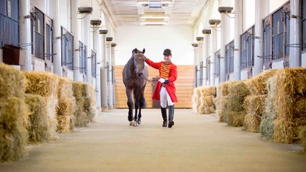 Lower Saxony State Horse Stud, Celle Lower Saxony State Horse Stud, Celle