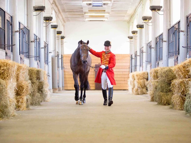 Lower Saxony State Horse Stud, Celle Lower Saxony State Horse Stud, Celle