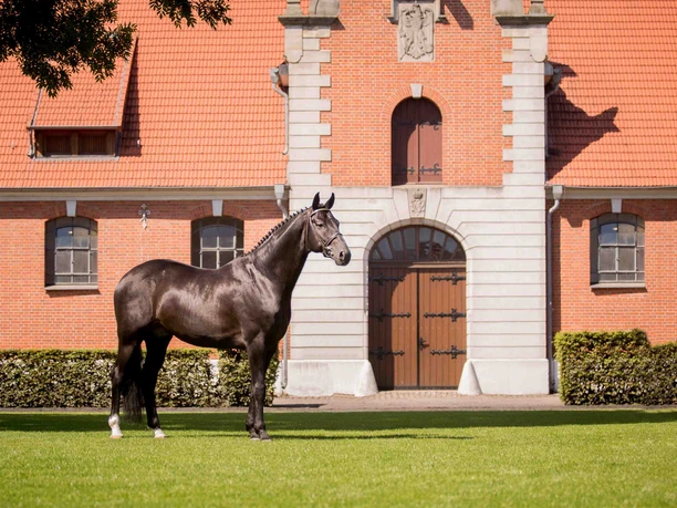 Lower Saxony State Horse Stud, Celle Lower Saxony State Horse Stud, Celle