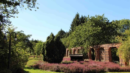 Bee Garden Celle Bee Garden Celle