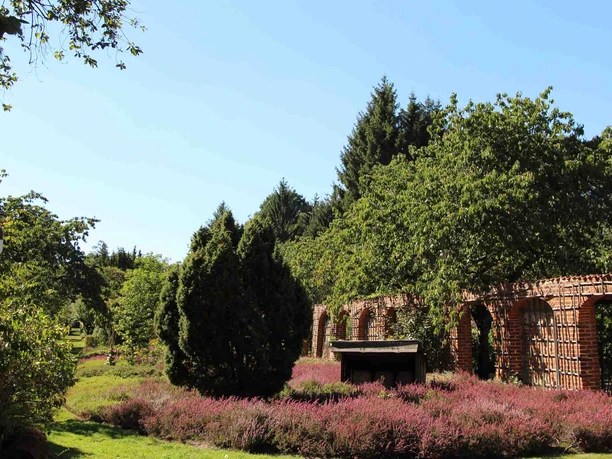 Bee Garden Celle
