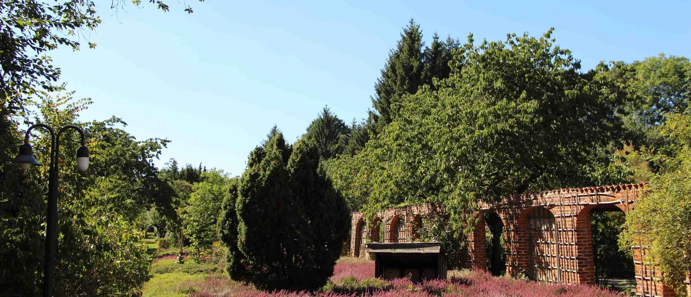 Bienengarten Celle Bienengarten Celle